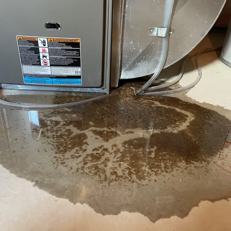Appliance Leak Cleanup in Copeland, OK